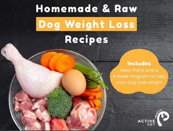 Homemade Dog Weight Loss Raw Feeding Recipes 4 Week Program Healthy Active Pet