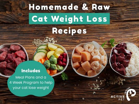 Homemade Cat Weight Loss Recipes & 4 Week Program