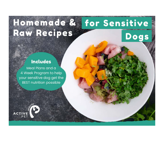 Homemade Recipes For SENSITIVE Dogs & 4 Week Program