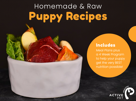 Puppy Home Made & Raw Recipe eBook And Plan