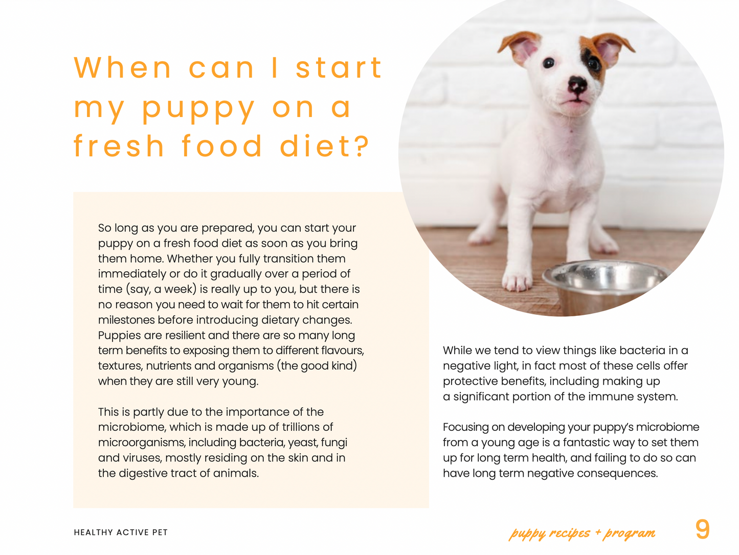 Homemade Puppy Food Recipe eBook