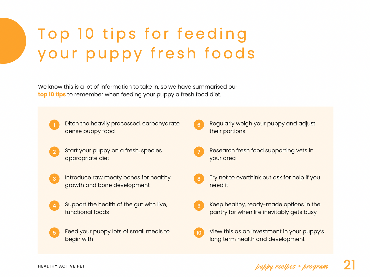 Homemade Puppy Food Recipe eBook